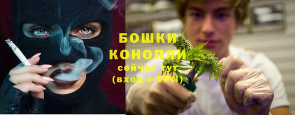 индика Лиски