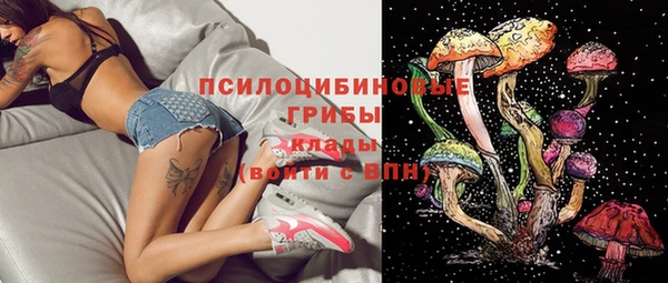 индика Лиски
