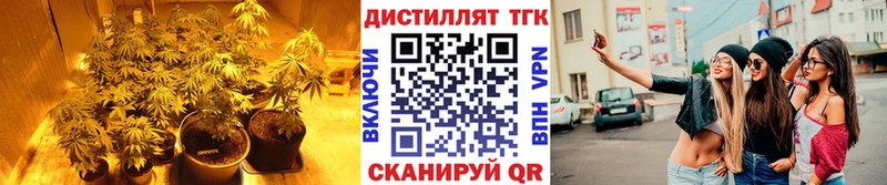 kraken tor Истра ТГК гашишное масло