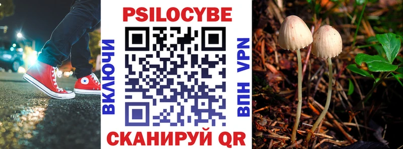 Псилоцибиновые грибы MAGIC MUSHROOMS наркота нарко площадка какой сайт Истра