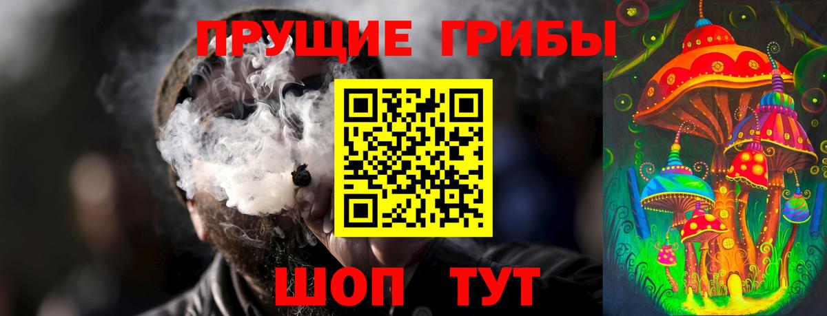 Галлюциногенные грибы GOLDEN TEACHER  Вход с VPN  Галлюциногенные грибы MAGIC MUSHROOMS  где купить наркотик  Истра 